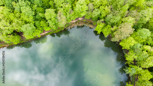 Aerial view of wild forest lake