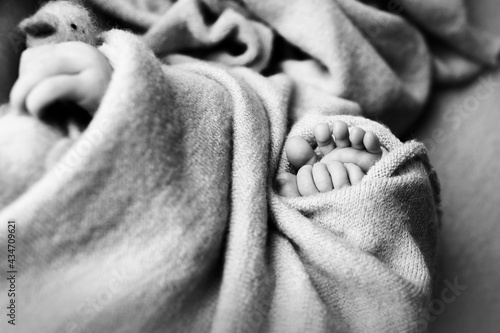 Photo of the legs of a newborn. Baby feet covered with wool isolated background. The tiny foot of a newborn in soft selective focus. Black and white image of the soles of the feet.
