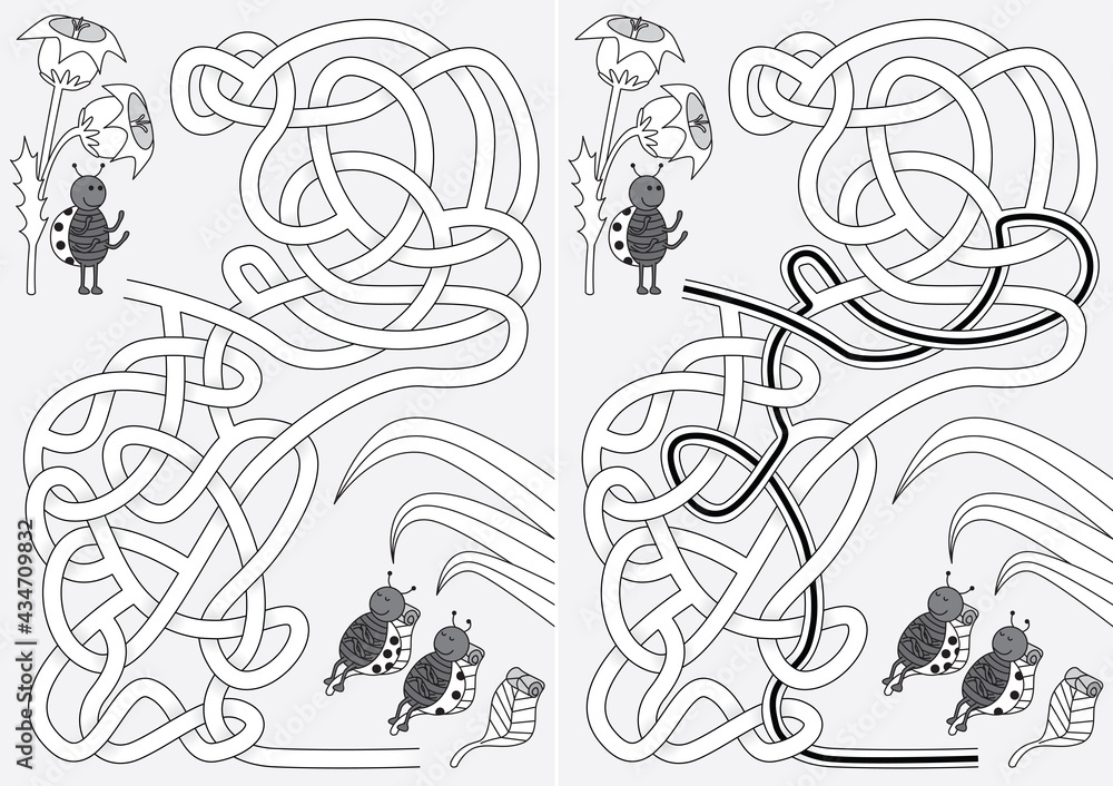 Ladybug maze Ladybug maze