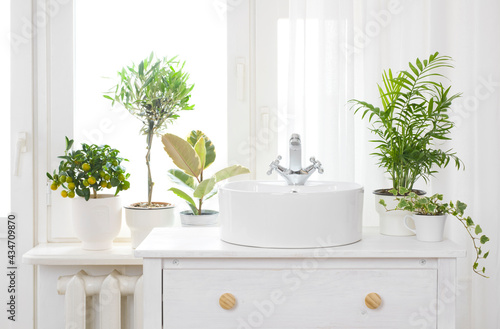Hand washing sink in front of window and house plants
