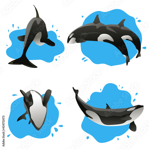 set of jumping killer whales vector illustration