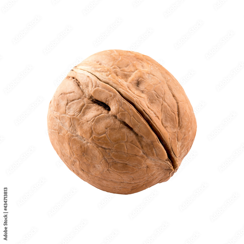Obraz premium Isolated walnut in shell on white background