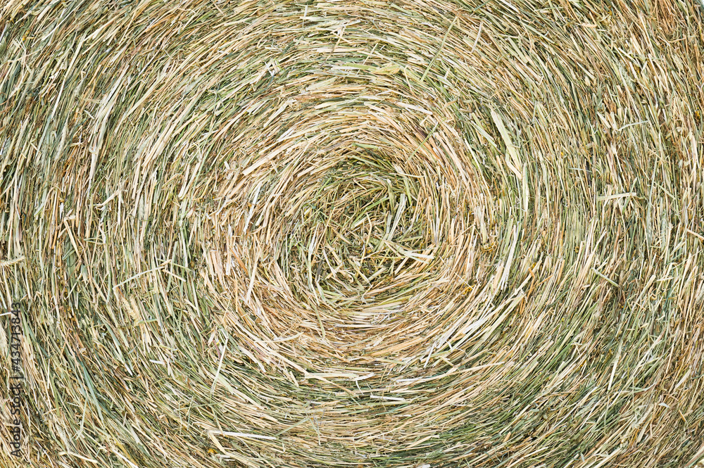 Texture of hay bale, closeup natural background Texture of hay bale, closeup natural background