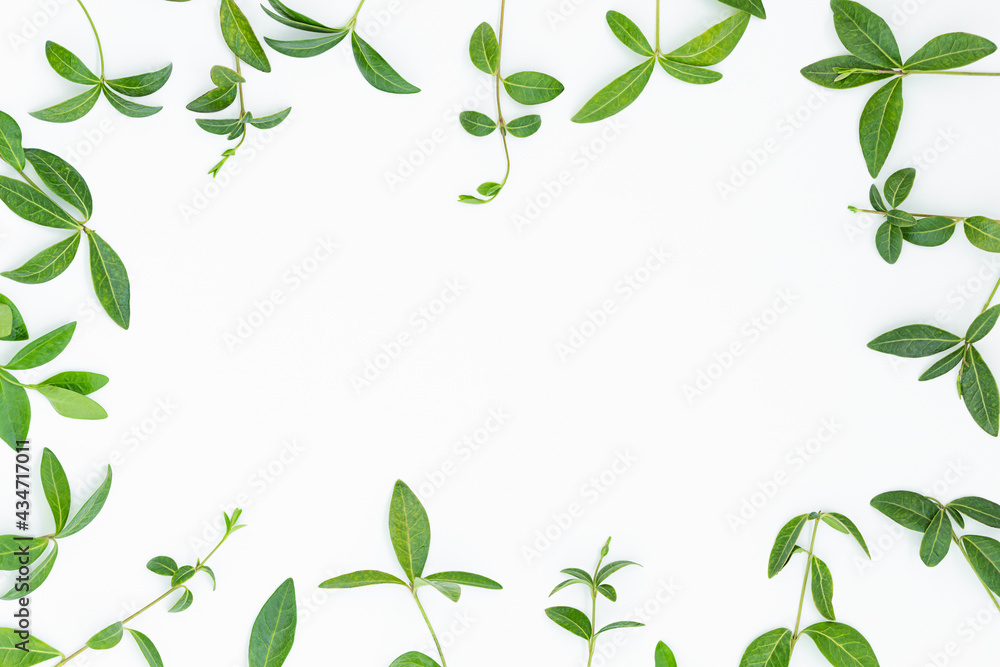 Summer gray backdrop of green leaves arranged around the text space