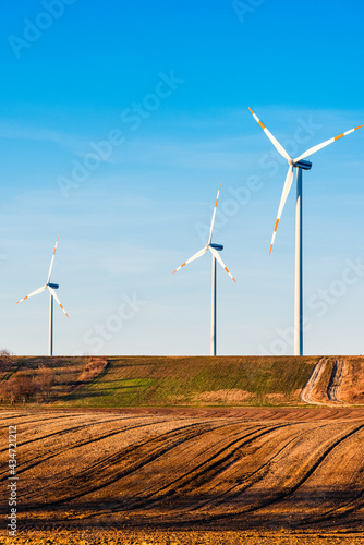 Windmill farm landscape