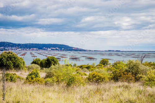 Vue sur les parc à huitres de l'étang de Thau