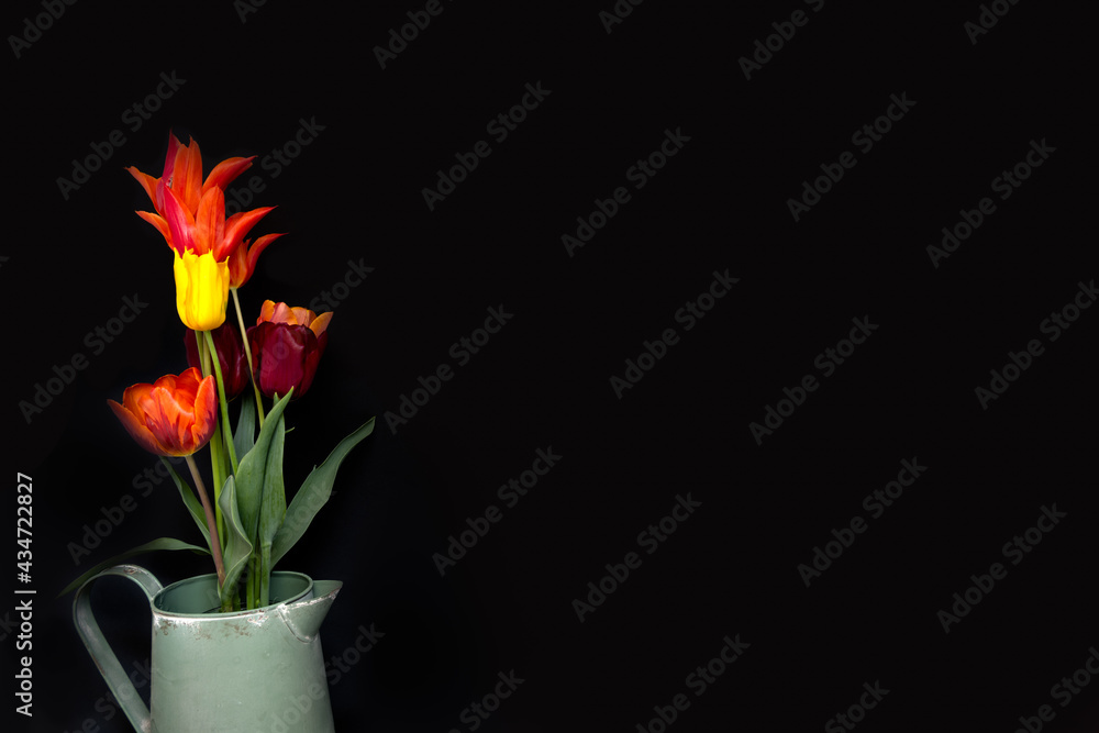 Fototapeta premium Bunch of colourful tulips on a black background, use as a card or background