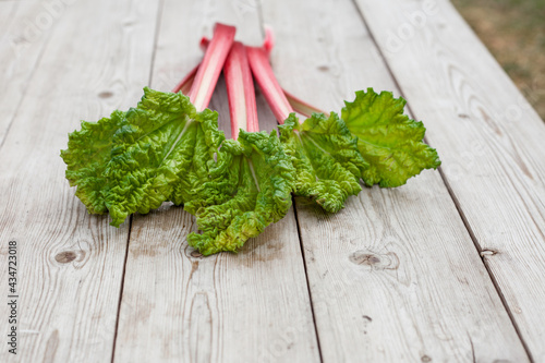 Pink rhubarb stems lying on wooden background photo