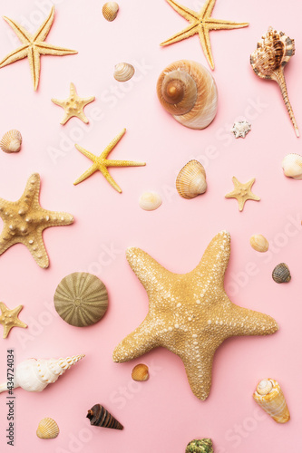 Collection of various seashells on a pink background, top view