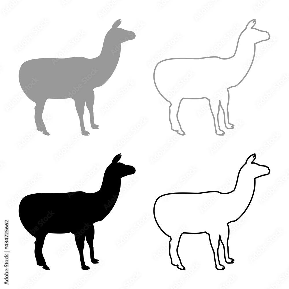 Alpaca Llama Lama Guanaco silhouette grey black color vector illustration solid outline style image Alpaca Llama Lama Guanaco silhouette grey black color vector illustration solid outline style image