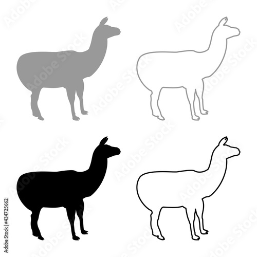 Alpaca Llama Lama Guanaco silhouette grey black color vector illustration solid outline style image