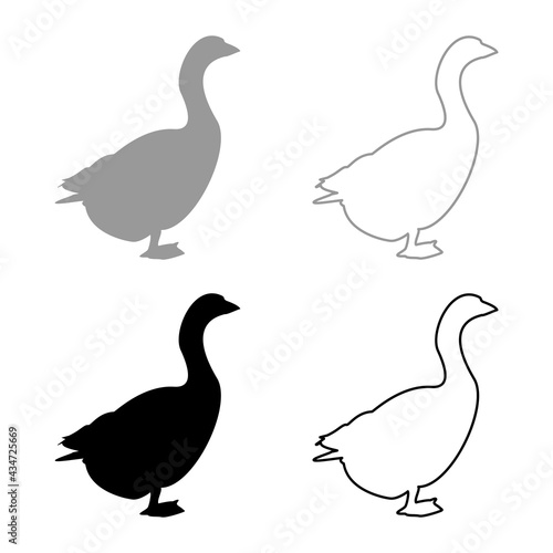 Goose Gosling Geese Anser Gander silhouette grey black color vector illustration solid outline style image