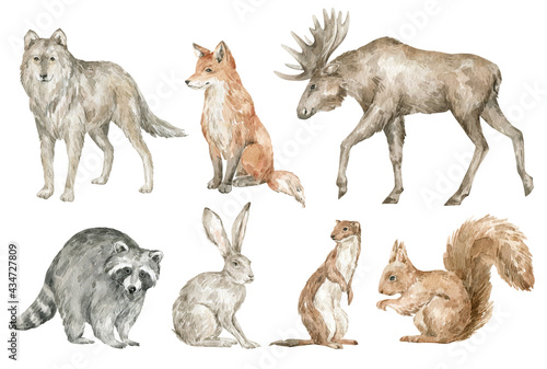 Watercolor cute forest animals. Wolf, fox, elk, racoon, hare, weasel, squirrel. Hand-painted woodland wildlife. 