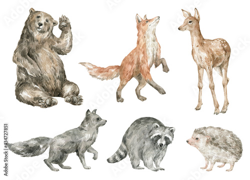 Watercolor cute forest animals. Brown bear, fox, deer, arctic fox, racoon, hedgehog. Hand-painted woodland wildlife. 
