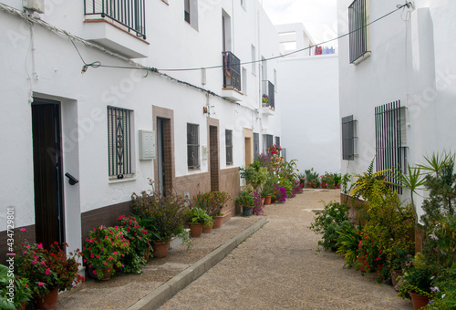 Street with flowers