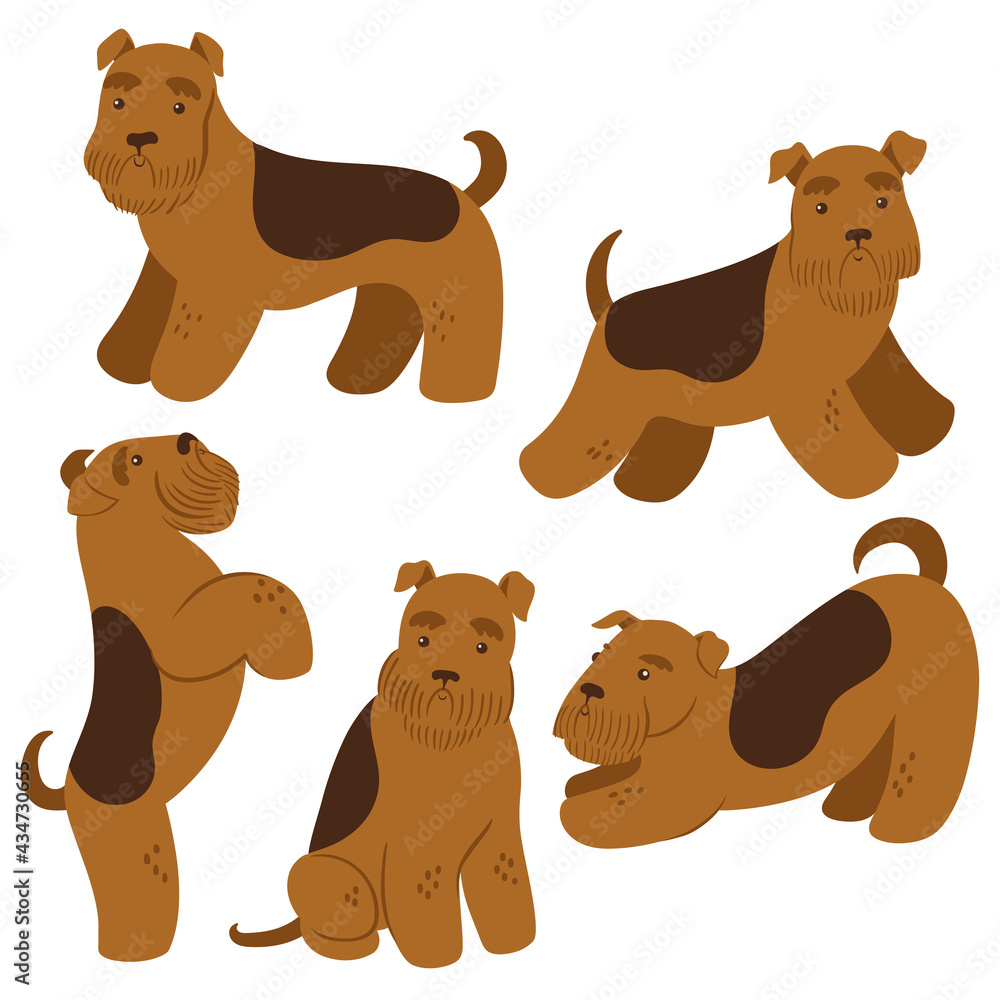 Obraz premium Set of cute terriers isolated on white background. Vector graphics.