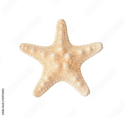 Wallpaper Mural Starfish isolated on white background