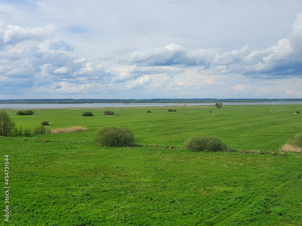 Naklejka premium Warta Mouth National Park // Park Narodowy Ujście Warty