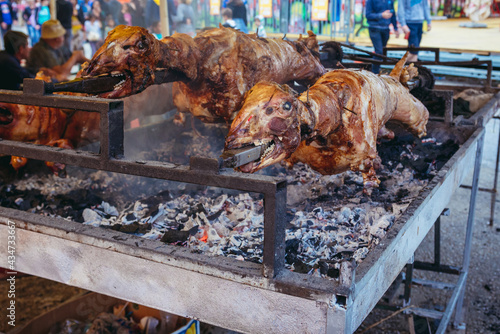 Food tent serves roasted lamb during the Trumpet Festival in Guca village, Serbia photo