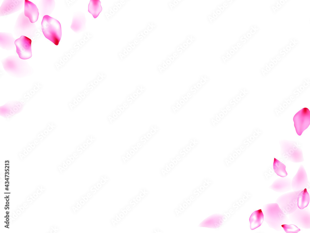 Fototapeta premium Pink sakura flower flying petals isolated on white vector background.