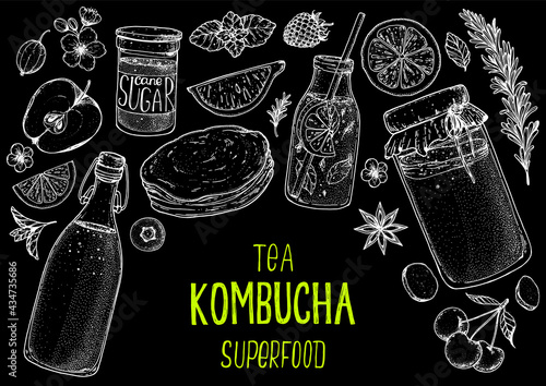 Kombucha tea and ingredients for kombucha sketch. Hand drawn vector illustration. Kombucha drink. Tea mushroom, tea fungus, or Manchurian mushroom.