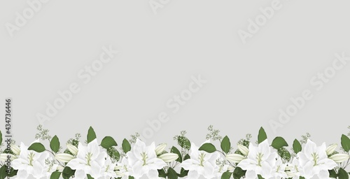Photos White Lilies and green leaves on the grey background border