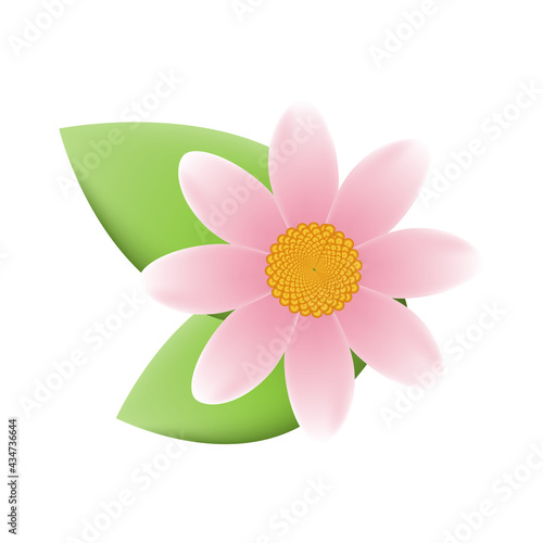 Vector flower and leaf in a realistic style. Floral and plant design element.