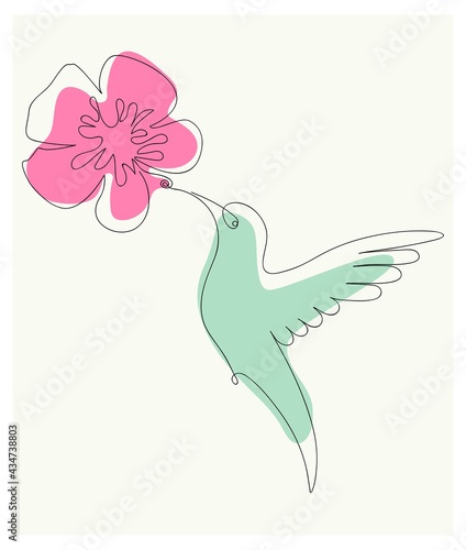 hummingbird with a flower in the style of a single line multicolored
