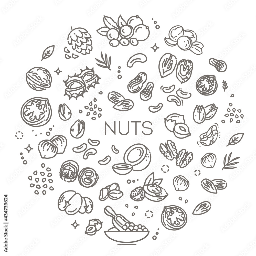 Vector set of various nuts isolated on a white background. Outline Illustration Vector set of various nuts isolated on a white background. Outline Illustration