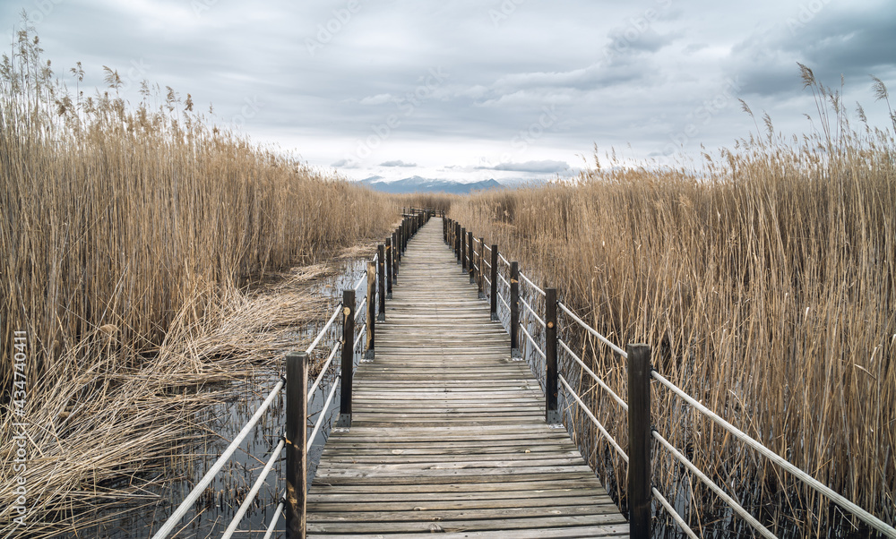 Fototapeta premium A view of wooden bridge leading through marshes and lakes inside the Central Anatolian Sultan Reedy (Sultansazligi) National Park, Turkey