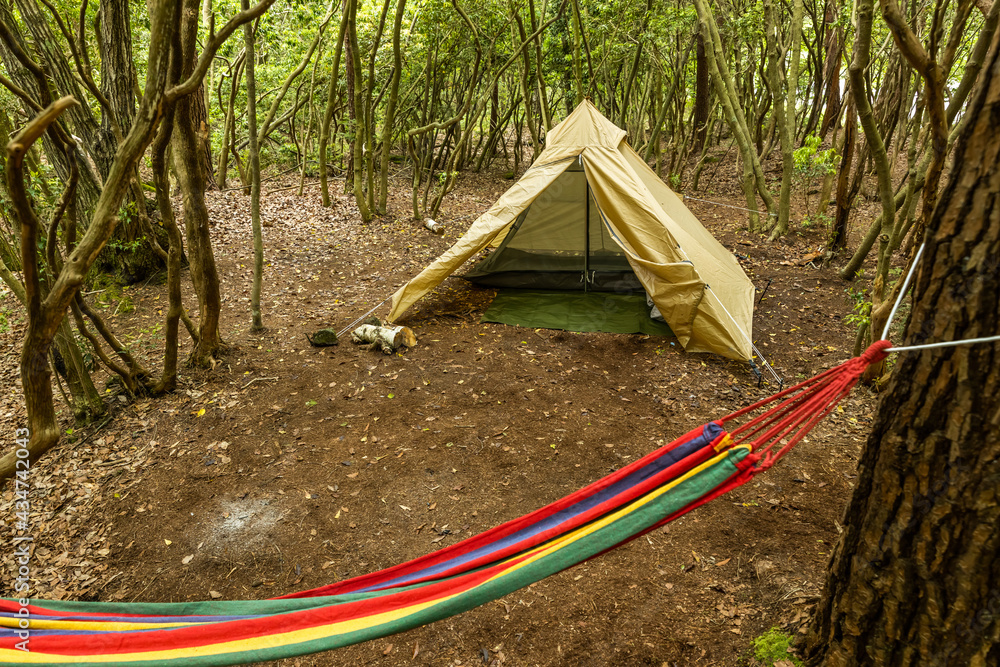 大自然の中でキャンプCamping in the wilderness of Alaska 大自然の中でキャンプCamping in the wilderness of Alaska