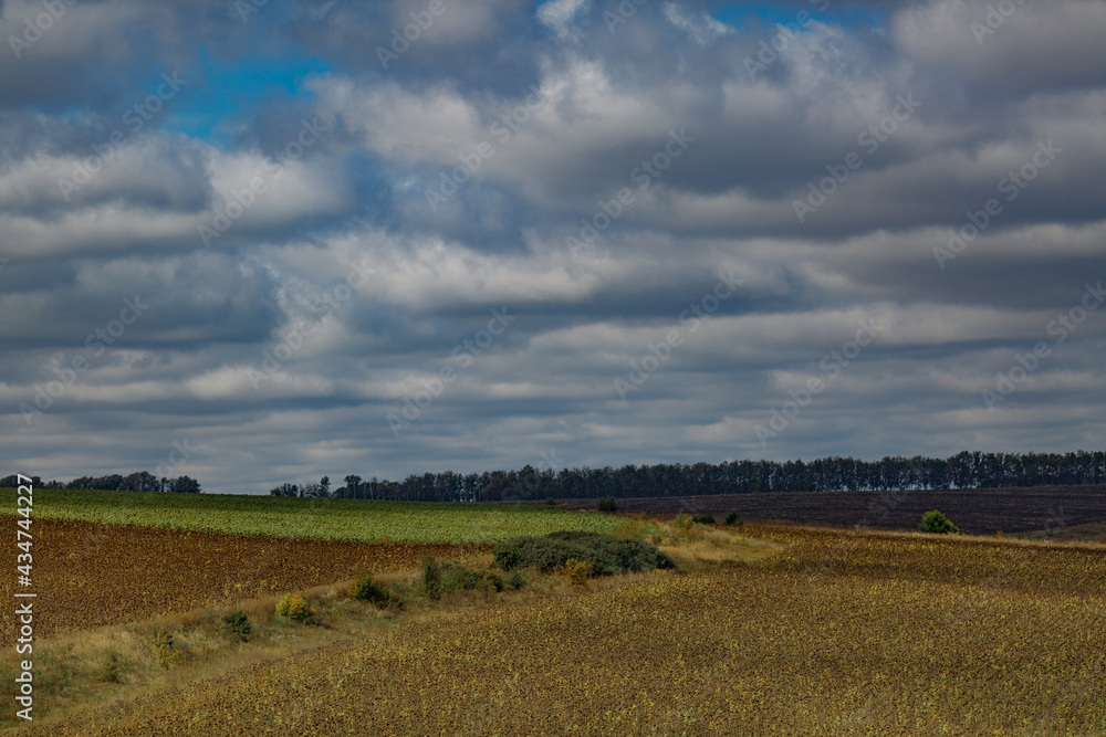 Fototapeta premium Cloudy sky over the field