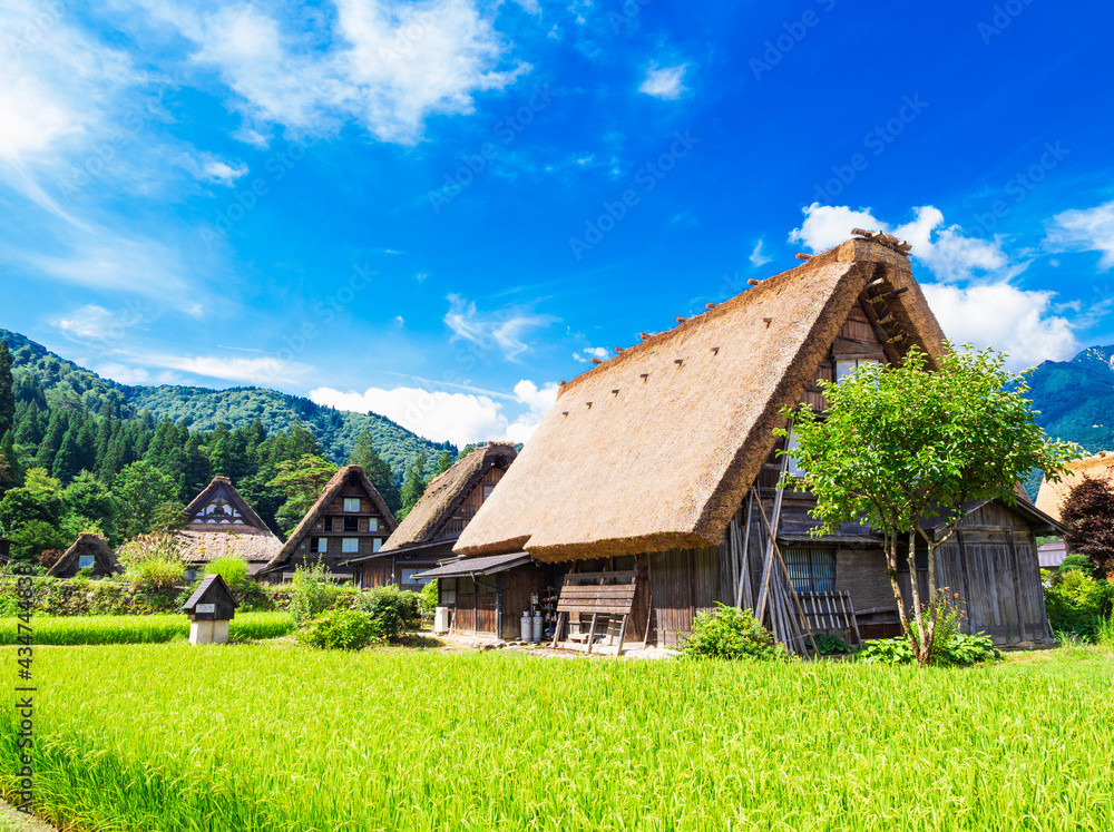 世界遺産　夏の白川郷