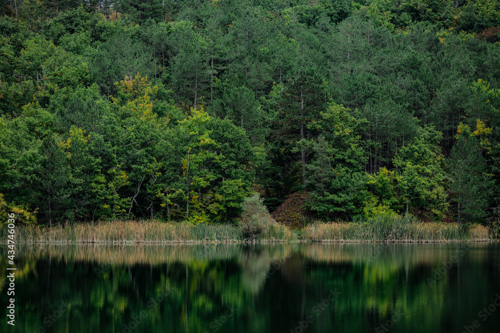 Calm water on the background of the autumn green forest