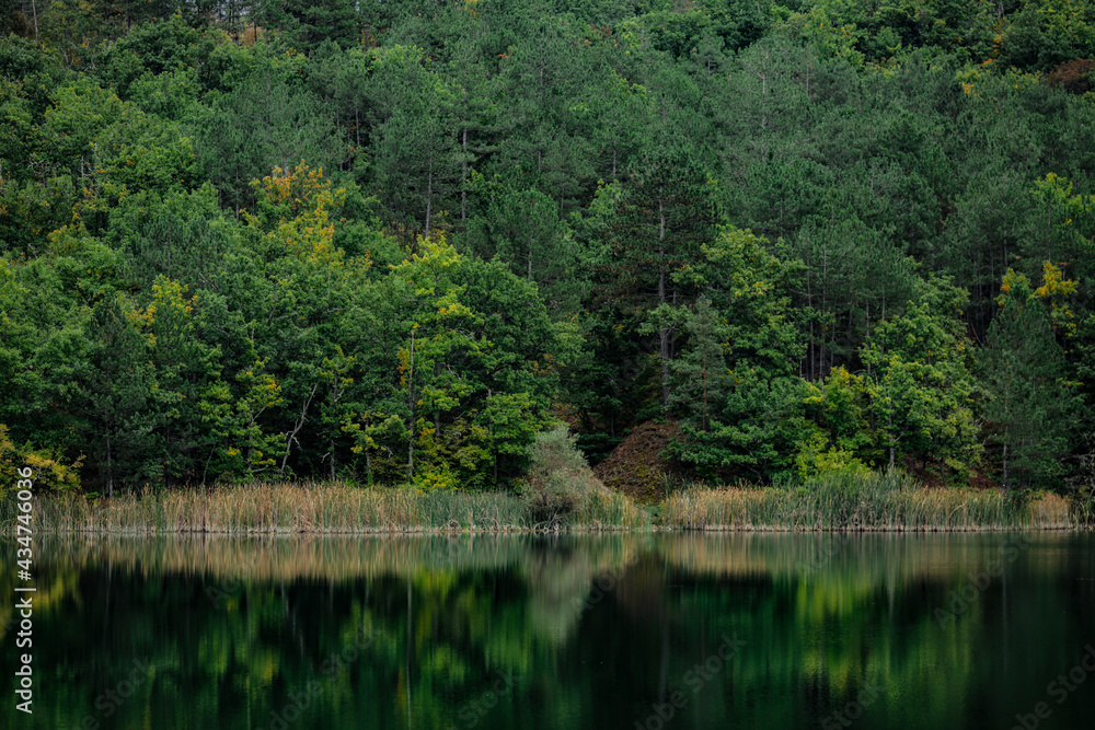 Calm water on the background of the autumn green forest Calm water on the background of the autumn green forest
