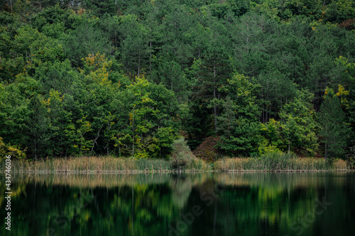 Calm water on the background of the autumn green forest