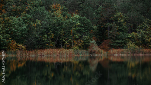 Calm water on the background of the autumn green forest