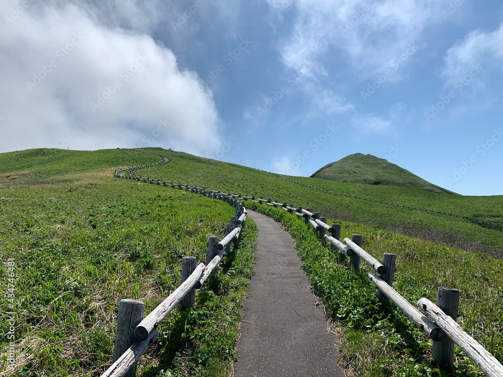 桃岩展望台 礼文島 利尻礼文サロベツ国立公園 Stock Photo Adobe Stock