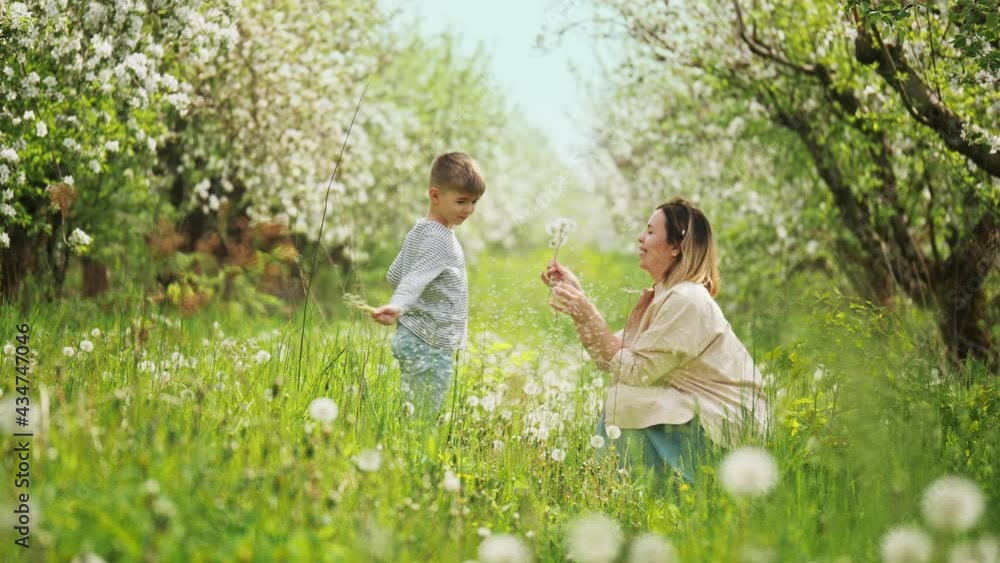 Young mother with little son play with dandelions in a blooming garden Young mother with little son play with dandelions in a blooming garden