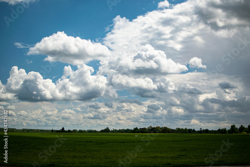 field and blue sky © юра василенко