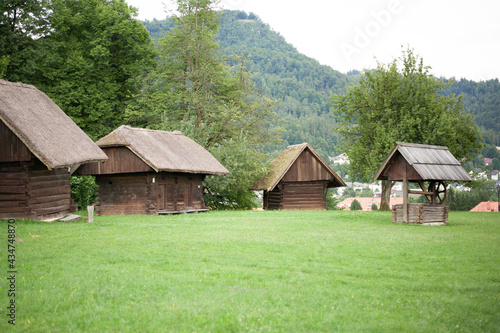 small cute vintage rural alpine cabins with thatched roofs on a green lawn