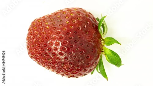 Time lapse of strawberries rotting over white background, microorganisms and mold development on strawberries