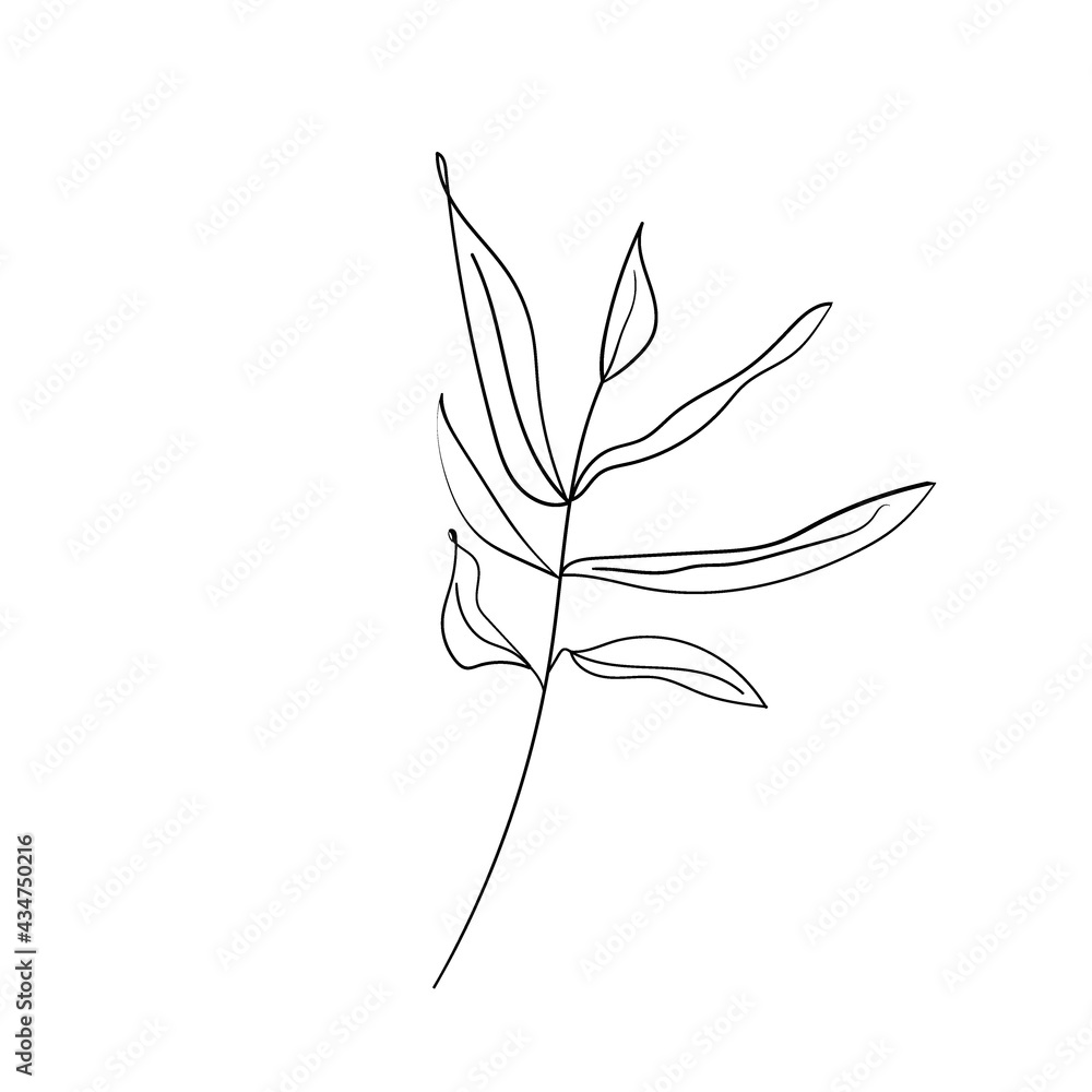 Hand drawn floral element. Different kind of leave. Floral sketch collection. Decorative element for design. Vintage botanical vector illustrations. Hand drawn floral element. Different kind of leave. Floral sketch collection. Decorative element for design. Vintage botanical vector illustrations.