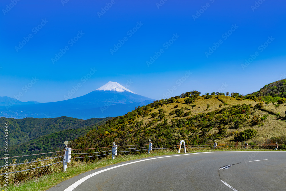 Naklejka premium 静岡県西伊豆スカイラインから見た景色