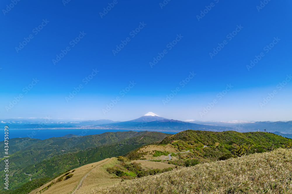Fototapeta premium 静岡県西伊豆スカイラインから見た景色