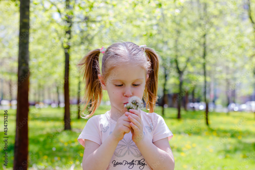 a little girl blows away dandelions on a summer day in the park. A girl in a pink dress with two ponytails on her head a little girl blows away dandelions on a summer day in the park. A girl in a pink dress with two ponytails on her head