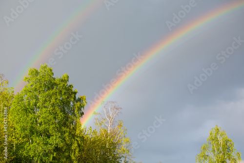 Fototapeta Naklejka Na Ścianę i Meble -  True duble rainbow after rain in the country. 