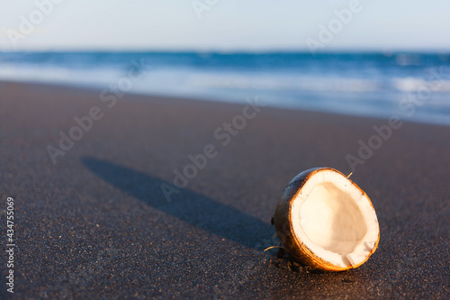 A ripe coconut on a black volcanic sand at seashore. Bali paradise beach. Sunset walk along seacomb. Ocean vibes.