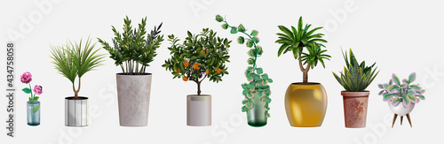 Collection of vector realistic detailed house or office plant for interior design and decoration. Tropical and Mediterranean plant and flowers for interior decor of home or office