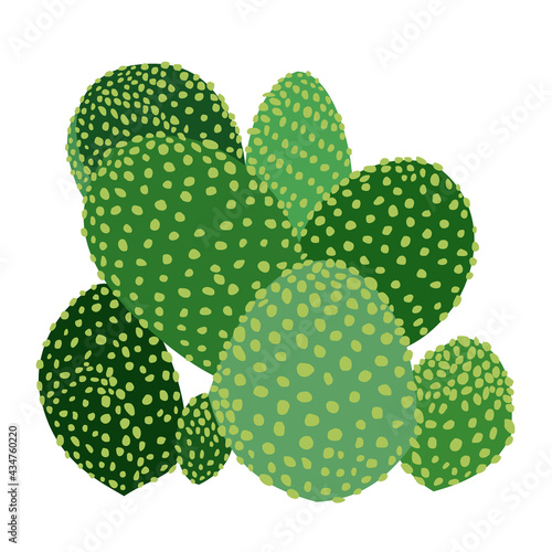 Vector isolated illustration of cactus